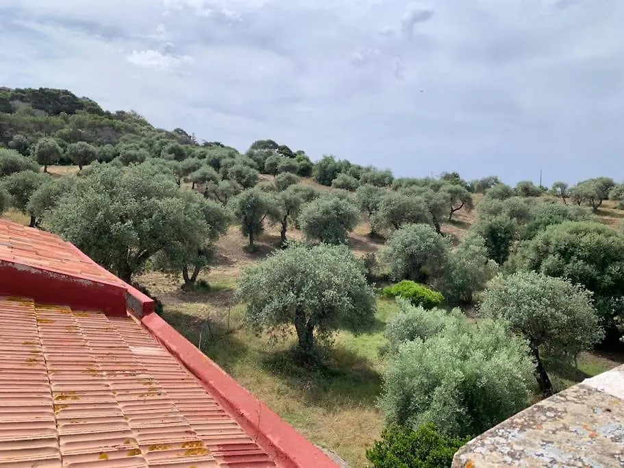 Villa Casale Degli Ulivi à Alghero