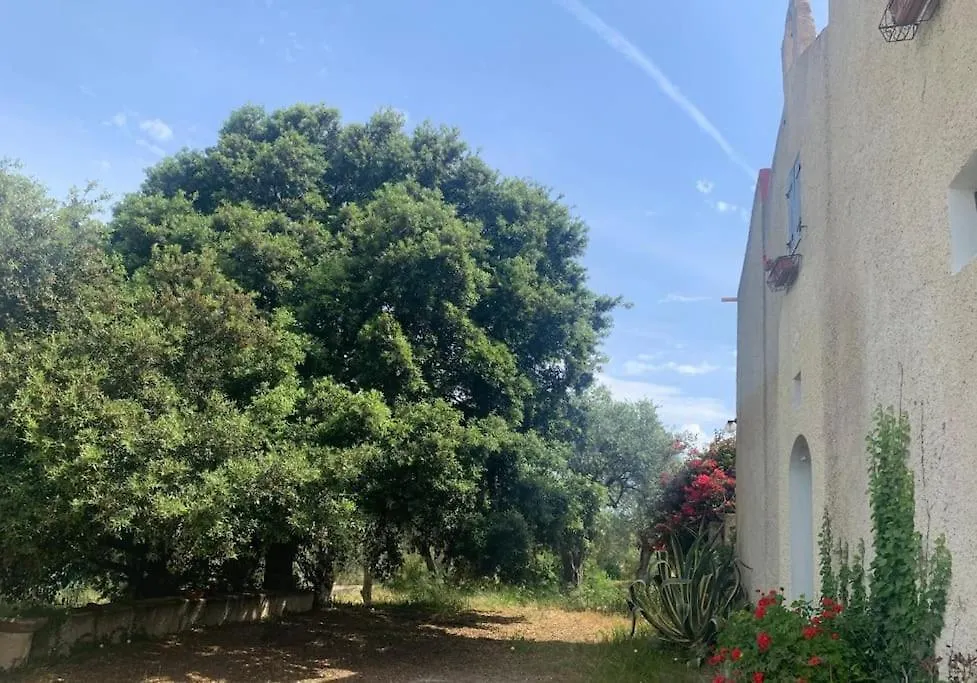 Hébergement de vacances Villa Casale Degli Ulivi à Alghero