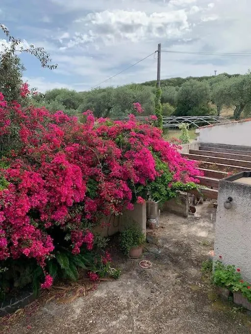 Hébergement de vacances Villa Casale Degli Ulivi à Alghero Italie