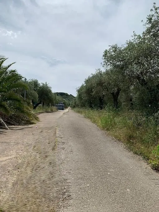 Villa Casale Degli Ulivi à Alghero Hébergement de vacances