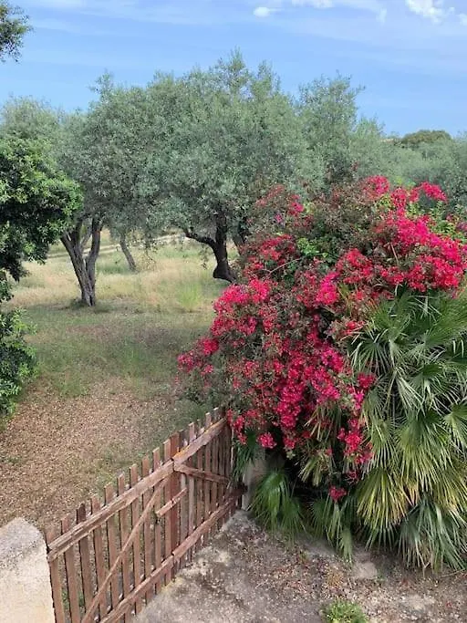 Hébergement de vacances Villa Casale Degli Ulivi à Alghero