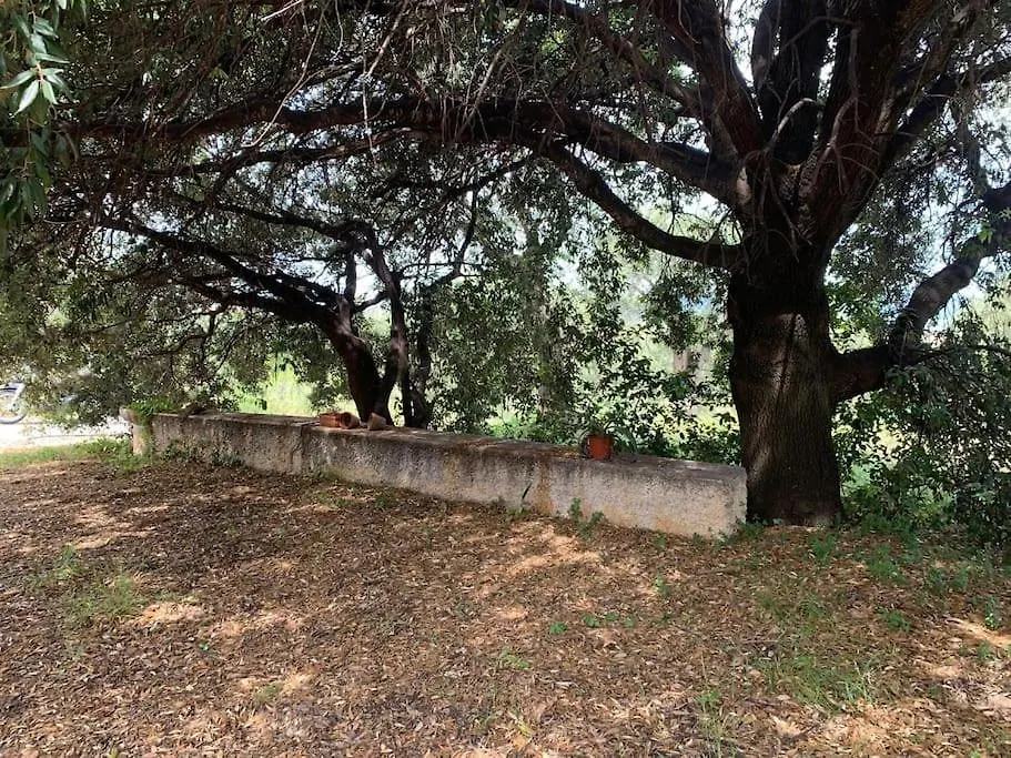 Hébergement de vacances Villa Casale Degli Ulivi à Alghero